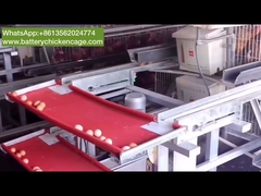 Cheap Simple Way Automatic Egg Collection Machine For A Frame Layer Cage