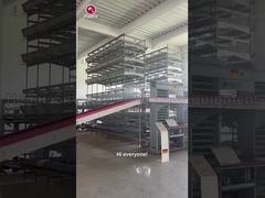Automatisiertes Geflügelsystem für Schichthühnerkäfige vom Typ H