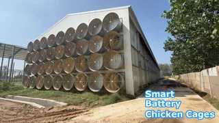 Umweltkontrollierter Batterieschicht-Hühnerstall