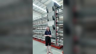 Automatisches Masthähnchen-/Legehennenkäfigsystem maximiert die Gewinne von Geflügelfarmen