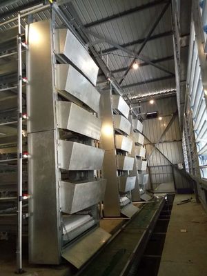 Automated H-Type Broiler Cage System for High-Density Commercial Poultry Farming with Hot-Dip Galvanized Protection