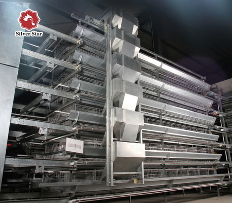 H Type Automatic Layer Chicken Cage Poultry Chicken Farm Used