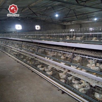 Automated H-Type Broiler Cage System for High-Density Commercial Poultry Farming with Hot-Dip Galvanized Protection