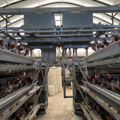A Type 4 Tiers / Floors 128, 160 Birds Per Set Poultry Layer Cage For Laying Eggs
