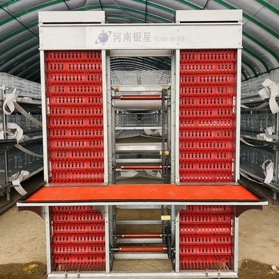 A Type 4 Tiers / Floors 128, 160 Birds Per Set Poultry Layer Cage For Laying Eggs