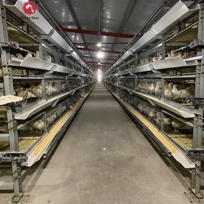 Automated H-Type Meat Broiler Cage System - Hot-Dip Galvanized High-Density Commercial Poultry Farming Equipment