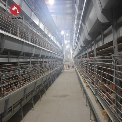 Multi-Level H Frame Broiler Housing Cage Durable Galvanized Steel Poultry Equipment for Commercial Grow-out Farms