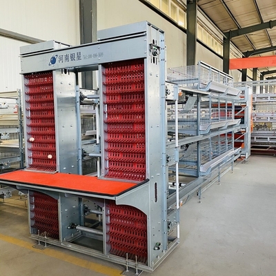 4 Tiers Chicken Egg Layer Battery Cage For Tanzania Poultry Farm Automatic Q235