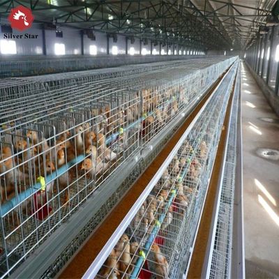 Full Automatic H-Type Broiler Chicken Cage Hot-Dip Galvanized High-Density Poultry Farming Equipment