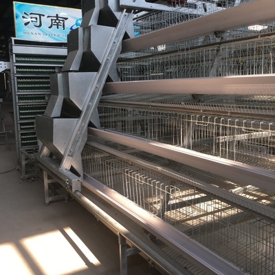 A Type Battery Chicken Layer Cage 3 Tier 120 Capacity For Poultry In Dubai