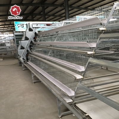 108-144Birds Poultry Cage 3-4Layers Broiler Raising Equipment