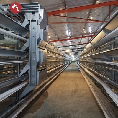 1950×2300×2000 Poultry Farm Laying Hens Cage A Type 3,4 Tiers Egg Layer Chicken Cages For Chicken Coops