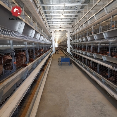 Poultry Farm Battery Chicken Cage Equipment 96 Birds / Set