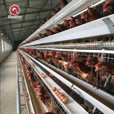 Automatic A-Type Layer Battery Cage System with Hot-Dip Galvanized Steel for 3 Tiers Poultry Farming