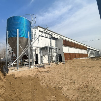 Battery Chicken Cages Corrosion Resistant Long Lasting Poultry Equipment Suitable For Large Farms