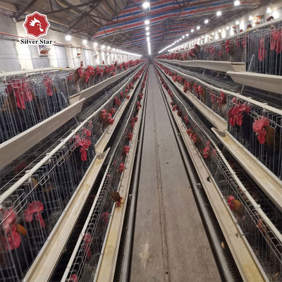 3-Tier / 4-Tier A-Type Layer Chicken Cage with Automatic Feeding & Egg Collection and Hot-Dip Galvanized Steel