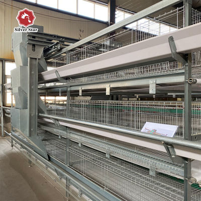 H-Type Automatic Broiler Battery Cage System with Hot Dip Galvanizing and Stackable Modular Design for Commercial Meat Chicken Farms