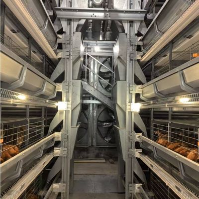 Battery Layer Cages hot-dip galvanized steel for Poultry Farm Egg Chicken Cage Equipment