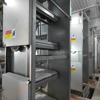 Commercial-Scale Automatic H-Type Battery Cage System with Full Automation and Hot-Dip Galvanized Steel for 50,000+ Birds