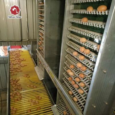 Hot-Dip Galvanized Layer Chicken Cage with Automatic Feeding and Egg Collection for Poultry Farming