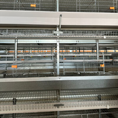 Automatic Egg Collection Hot-Dip Galvanized Battery Chicken Cage with Computerized Control System for Poultry Farming