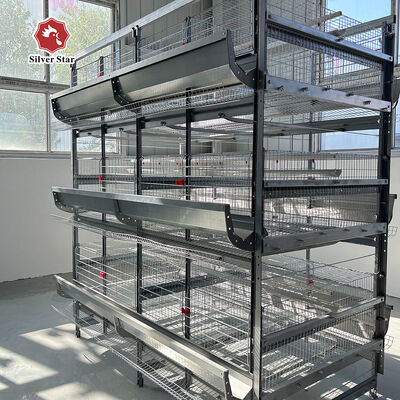Automatic Poultry Farm Equipment High-Density H-Type Layer Battery Chicken Cage System for Egg Production Farm