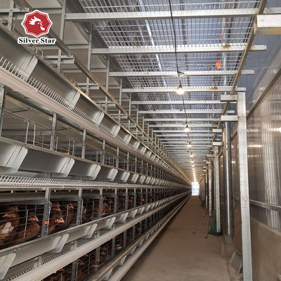 Automatic H-Type Battery Broiler Cage | High-Density Commercial Poultry Farm Feeding Equipment
