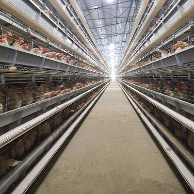 Poultry Farm Layer Cage H Type Full Automatic Chicken 6Tiers