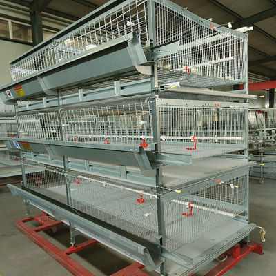 Automated H-Type Broiler Cage System Hot-Dip Galvanized Full Automatic High-Density Poultry Farming Equipment