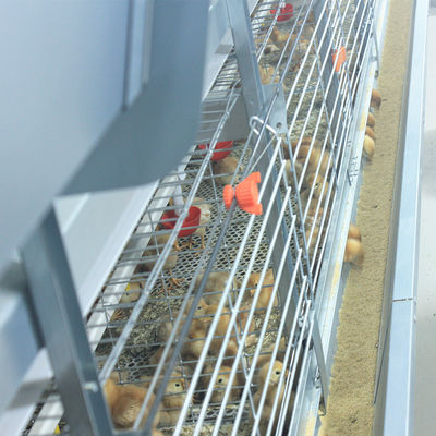 3-6mm Wire Battery Broiler Equipment SGS H Type Poultry Farm Cage