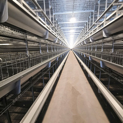 Fully Automatic Hot-Dip Galvanized H-Type Broiler Chicken Cage for High-Density Poultry Farming