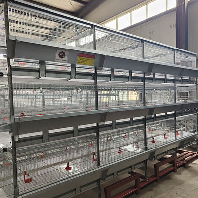 Fully Automatic Hot-Dip Galvanized H-Type Broiler Chicken Cage for High-Density Poultry Farming