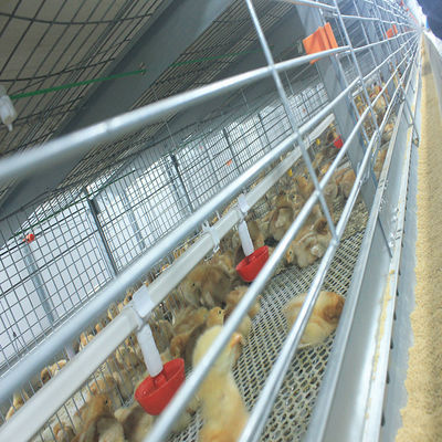 Hot Dip Galvanized Q235 Broiler Equipment 108 / 144birds Wire Chicken Cage