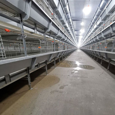 Fully Automated Hot-Dip Galvanized H-Type Broiler Cage System for High-Density Poultry Farming