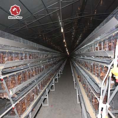 Galvanized 3-10Tiers H Type Layer Cage , 384 Chicken Egg Laying Cages