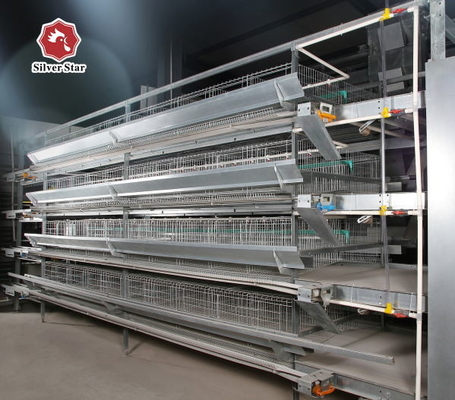 H Type Automatic Layer Chicken Cage Poultry Chicken Farm Used