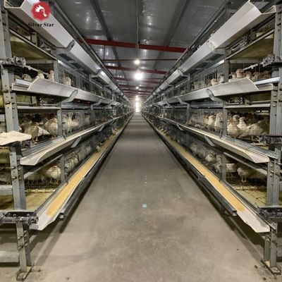 Automatisches H-Type Broiler Batterie Käfigsystem für gewerbliche Fleisch-Hühnerfarmen mit heißverzinktem Rahmen und Konfiguration in 3-4 Ebenen