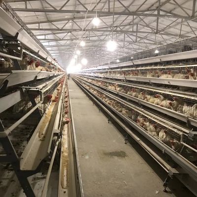 Dauerhafte Schicht Hühnerkäfig mit 3 oder 4 Schichten für die Raumnutzung und langlebige Korrosionsbeständigkeit geeignet für Geflügelfarmen