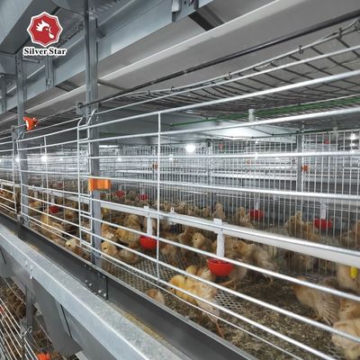 Automatisiertes H-Typ Fleischbroiler Käfigsystem Hochdichte Geflügelindustrie Ausrüstung