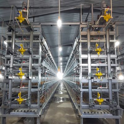 Full Automatic H-Type Broiler Chicken Cage Hot-Dip Galvanized High-Density Poultry Farming Equipment