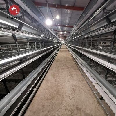 Automated H-Type Meat Broiler Cage System - Hot-Dip Galvanized High-Density Commercial Poultry Farming Equipment