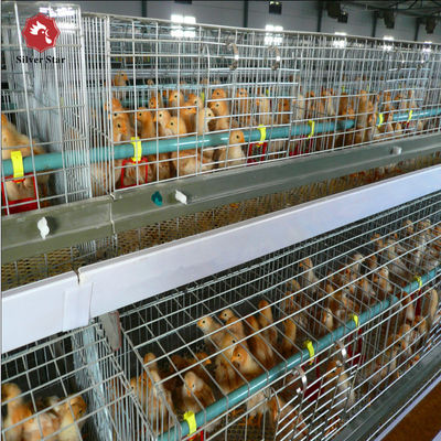 Full Automatic H-Type Broiler Chicken Cage Hot-Dip Galvanized High-Density Poultry Farming Equipment