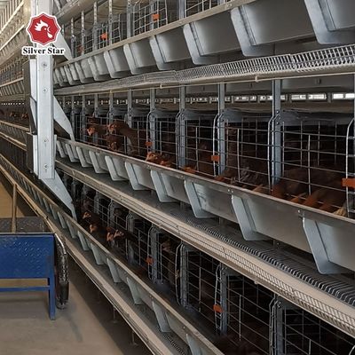 H-Typ automatisches Batteriekäfigsystem für Geflügelzucht - warmgewalzt, automatische Eiersammlung, 15-20 Jahre Lebensdauer