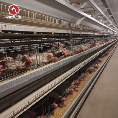 H-Typ Schicht Hühnerkäfig-System -- automatische Geflügel-Ausrüstung für kommerzielle Eifarmen