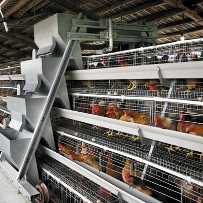 3-Tier / 4-Tier A-Type Schicht Hühnerkäfig mit automatischer Fütterung & Eiersammlung und Hot-Dip Galvanized Steel