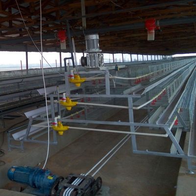 Automated H-Type Broiler Battery Cage System with Hot-Dip Galvanized Steel for High-Density Poultry Farming
