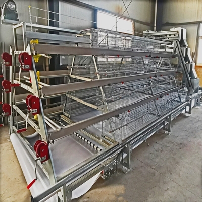 A Type Layer Manure Cage Hot Dip Galvanized Cage Broiler On Poultry Farm