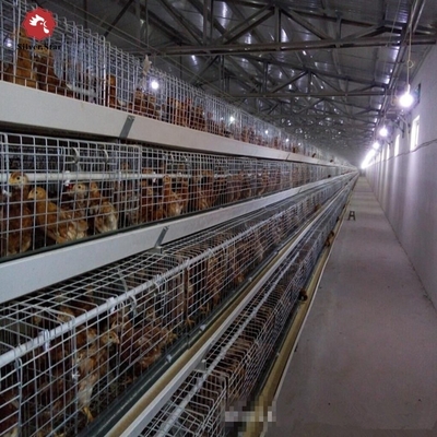 5000 birds Automatic H Type Galvanized Layer Battery Chicken Cage For Poultry Farm House Equipment