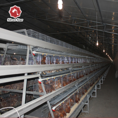 Modern HDG Chicken Egg Layer Cages 0.40m2 Space 9birds/Cage Farming