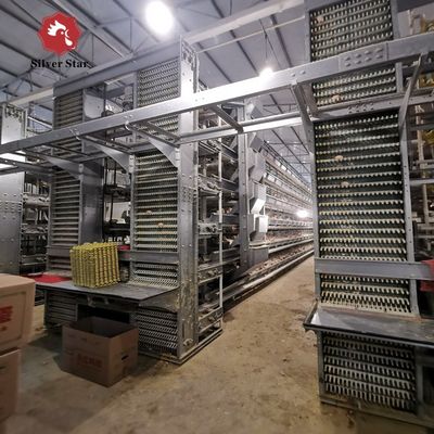 Automatisches H-Typ Broilerbatteriekäfigsystem für kommerzielle Masthähnchenfarmen